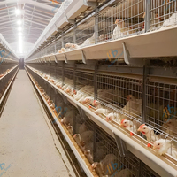 Cage à poulets de type H à 3 niveaux, système d'alimentation et de nettoyage automatique pour volailles, galvanisée à chaud, homologuée CE
