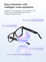Lunettes intelligentes M02C AI avec télécommande, prise de photos, enregistrement vidéo 1080p, appels Bluetooth, assistant vocal, lunettes de soleil intelligentes unisexes