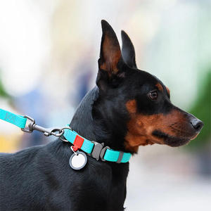 <span class=keywords><strong>Collar</strong></span> de Lujo <span class=keywords><strong>OEM</strong></span> para Perro/Gato, Elegante, Impermeable, de Algodón con Remaches, Hebilla Metálica de Liberación Rápida, <span class=keywords><strong>Collar</strong></span> Sólido para Cachorro de Boda - Product Image 6