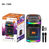 Haut-parleur Karaoké 40W 8 Pouces de Haute Qualité en Gros, Grande Capacité Batterie 4000mAh, Deux Micros Sans Fil, Enceinte de Fête Extérieure