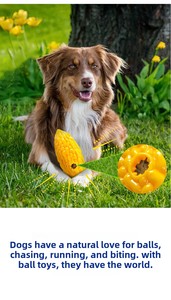 Juguetes Interactivos para Perros con Forma de Melón Amargo, Juguetes Masticables de Vegetales para Perros, Juguetes de TPR para Perros - Product Image 4