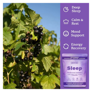 Private Label SLEEP Gummies Pilz-Nahrungsergänzungsmittel mit Melatonin Hilft dem Körper, in den Schlaf zu tappen Pflanzenextrakt - Product Image 3