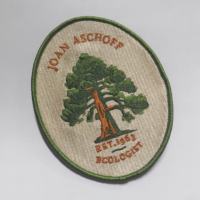 Badges brodés personnalisés en gros, appliqués thermocollants, colorés, avec logo privé, pour vêtements