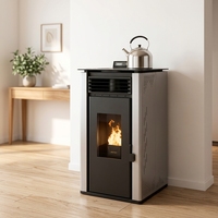 Poêle à granulés à air chaud PS-60 haute efficacité, chauffage autonome au bois et biomasse pour maison, appartement, chauffage intérieur à air chaud