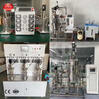 Bio-réacteur de type petit fermentateur en verre, conception de bio-réacteur pour la production d'éthanol avec une structure simple