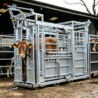 Chute d'encerclement et d'étranglement pour bétail, galvanisée, robuste, équipement d'agriculture pour la manipulation du bétail