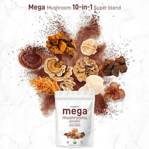 Poudre Complexe Méga Champignon Bio Formule Booster du Système Immunitaire avec Chaga Lions Crinière Cordyceps Reishi - Product Image 4
