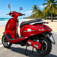 CKD SKD Motor Listrik Balap 12 inci E Moto Sepeda Motor 1100/1300W Kecepatan 65km/jam Moped Listrik dengan 2 Kursi