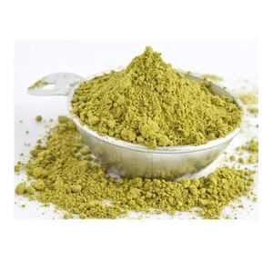 Extracto de Hoja de Bhringaraj Natural en Polvo, Polvo Fino de Planta Herbal Bhringraj de Primera Calidad para Suministro al por Mayor - Product Image 4