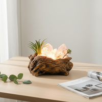 Lampe d'ambiance USB en cristal naturel brut, base sculptée à la main en racine blanche, lampe de chevet en pot pour la maison