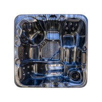 Bain à remous 5 personnes, spas et baignoires à prix abordable, US Balboa Swim Spas, pour extérieur, approvisionnement direct usine JW-2234