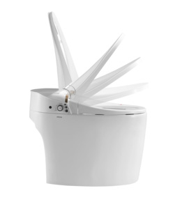 ราคาสุขภัณฑ์อัจฉริยะแบบไร้ถัง Arrow Sanitary Ware, ผู้ผลิตสุขภัณฑ์, โถสุขภัณฑ์ทรงกลม - Product Image 5