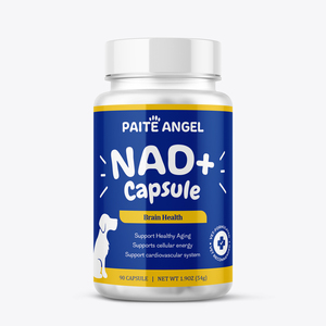 OEM Nicotinamide Riboside Chloride Capsules voor honden, NAD+ precursor, anti-veroudering, cellulaire energie, hart- en hersenenondersteuning, supplement - Product Image 6