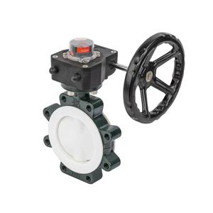 2-48 Inch Midline PTFE Sealed Flanged Manual <b>Worm</b> Gear Fluorinated-lined Stainless Steel Normal Temperature Flanged Va - Product Image 3