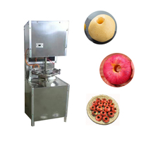 Hoge kwaliteit best verkochte fruitpitverwijderingsmachine, kersenpitverwijderingsmachine, olijfpitverwijderingsmachine met fabrieks prijs