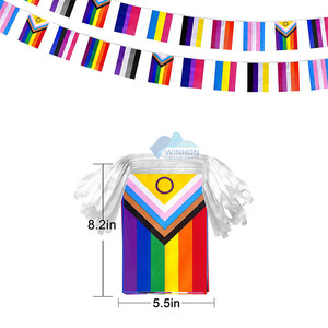 Bandeira Do Arco-Íris Do Orgulho Do Progresso Bandeiras Do Orgulho Gay Progressivo Bissexual Lésbicas Transexuais Bandeira Bandeira Bunting <span class=keywords><strong>String</strong></span> - Product Image 2