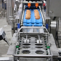 Nouvelle conception machine de traitement de la poudre d'oeufs entiers ligne de production d'œufs liquides machine de pasteurisation du jaune d'oeuf blanc