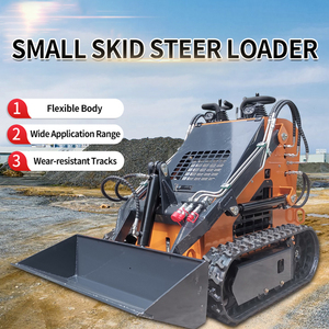 Miễn phí vận chuyển DIESEL Vườn Nhà Crawler 360 460 quốc tế nhỏ nhỏ Skid chỉ đạo Bộ nạp - Product Image 3