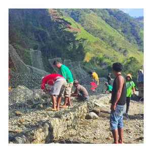 Murs de soutènement durables en gabions galvanisés et revêtus de PVC <span class=keywords><strong>pour</strong></span> les berges de rivière et le support paysager de jardin - Fabricant chinois - Product Image 6