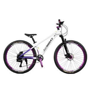 Bicicletta da Montagna Senidas a 8 Velocità, Telaio in Acciaio da 26 Pollici, Freno a Disco, Forcella per Dirt <span class=keywords><strong>Jump</strong></span>, MTB per Discese, Prodotta in Cina - Product Image 4