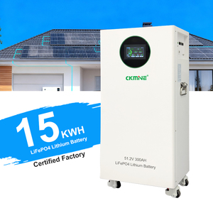 Batería de Litio ODM OEM de 15 kWh, 51.2V, 48V, 300Ah para Sistemas de Almacenamiento de Energía Solar - Product Image 1