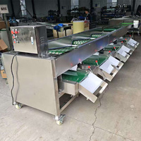 Automatische mandarijn sorteermachine, tomaat- en persimmon sorteermachine prijs