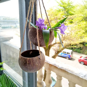 Coquille de noix de coco créative panier suspendu pot de fleur de noix de coco décoration de <span class=keywords><strong>balcon</strong></span> - Product Image 3