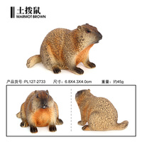 Figurines d'animaux de safari en PVC solide en gros, figurines de jouets de marmotte
