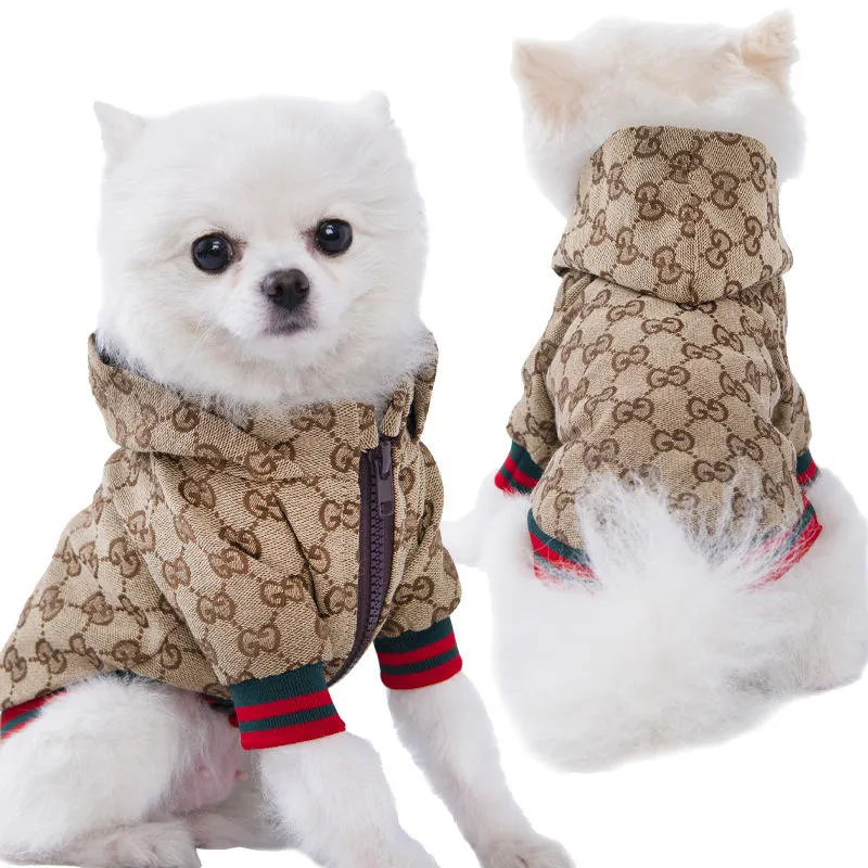 Großhandel Haustierbekleidung Mode beliebte Hundwinterjacke Katze Hundemantel Hundekleidung Luxus für Welpen Teddy-Kapuzenpulli