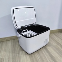 Mini-réfrigérateur électrique 16L 2024 avec compresseur, glacière portable pour extérieur 12V/220V, température de -20°C