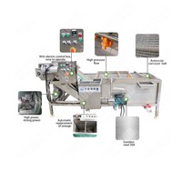 Machine à cirer de lavage d'orange d'agrumes à haut rendement/ligne de traitement de laveuse