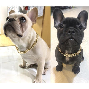 Collier de luxe en chaîne dorée pour chien bouledogue, magnifique collier en plastique pour animaux de compagnie, accessoires pour chien et chat - Product Image 2