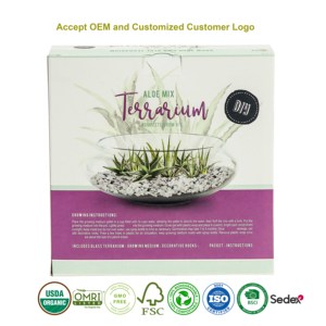 Kit de culture DIY unique et mignon en verre pour aloe vera, petit pot de <span class=keywords><strong>terreau</strong></span> pour enfants, livraison rapide, utilisation à domicile - Product Image 2
