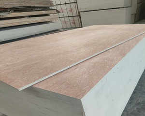 Madera Contrachapada de Bintangor al por Mayor, 12mm/15mm/18mm, <span class=keywords><strong>Precio</strong></span> Económico, <span class=keywords><strong>Calidad</strong></span> Estándar Europea - Product Image 4