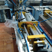 Machine de remplissage et de scellage de sachets d'eau Machine de remplissage de sachets de boissons jus de lait Sachet de sachets d'eau Machine de conditionnement remplissante de liquides