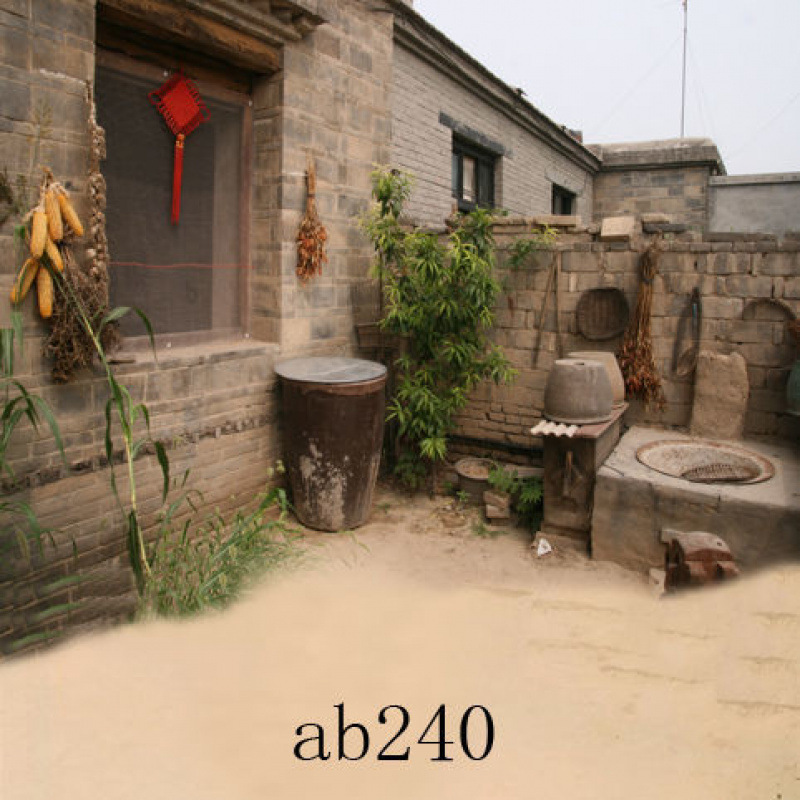 ab240--Dongxu