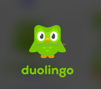 Compte Premium Duolingo Pro 1 an, compatible avec Mac/Linux, graphismes multimédias en ligne, activation mondiale