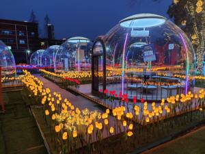 Tente Dôme Bulle Étoile Moderne de Luxe Transparente en Polycarbonate pour Extérieur, Petite et Étanche - Product Image 6