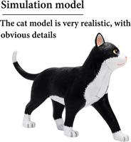 Modèle d'anatomie des organes de chat noir et blanc assemblé pour l'enseignement médical CE/ISO