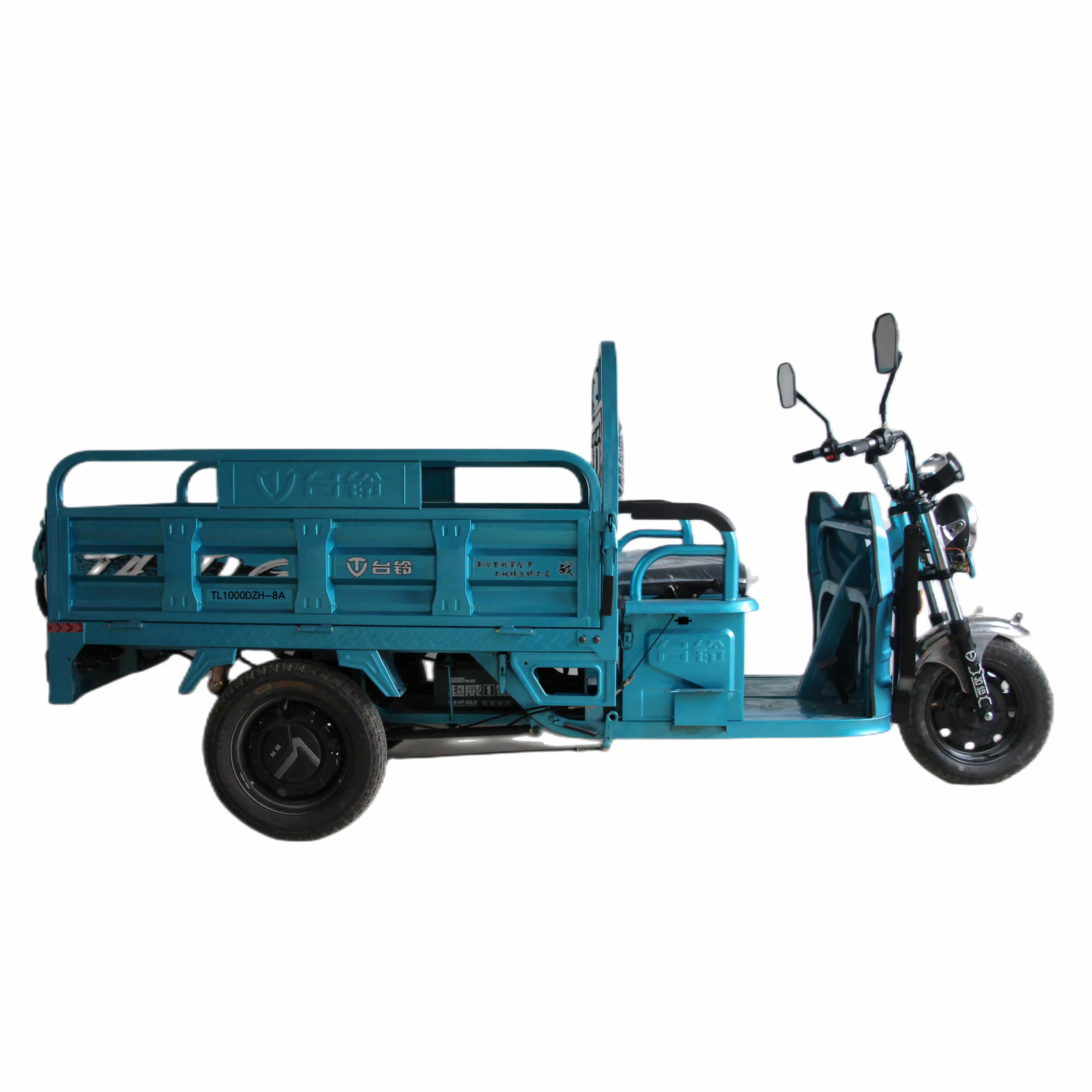 Tailg Best Selling In Turkey Tuk Tuk 3 Wheel Cargo Scooter Electric Tricycles For Adult
