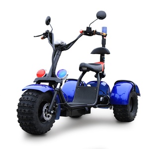 EU 1000W/1500W/2000W Self Balancing Aluminum Full Suspension Waterproof Three Wheel Scooter - Product Image 3