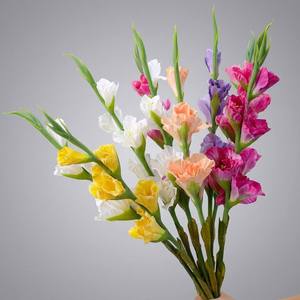 Vente en gros usine : Tiges de gladiolus à toucher réel, lilies-sabres artificiels en vrac pour l'aménagement floral des halls <span class=keywords><strong>d</strong></span>'hôtel et des événements - Product Image 1