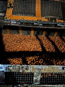 Coussin de siège de voiture en perles de bois naturel, rafraîchissant, massant et ventilé, housse de siège respirante pour l'été, tapis de chaise en perles de bois pour conducteur - Product Image 4