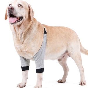 Genouillères pour chien, protections pour pattes avant, grises, soutien chaud pour les articulations, attelle pour chiens - Product Image 1