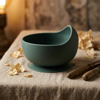 Assiettes et bols en silicone portables, adorables et mignons, approuvés LFGB, sans BPA, respectueux de l'environnement, avec compartiments séparés pour les aliments