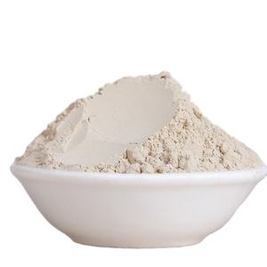 Pasokan pabrik bubuk Protein beras hidrolisasi dalam jumlah besar bubuk Protein nasi hidrolisasi organik bubuk Protein - Product Image 1