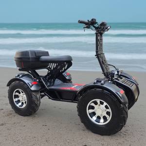 Quad électrique RY-S4 60V 10000W, capacité de charge de 300 kg, frein à disque hydraulique, véhicule tout-terrain - Product Image 1