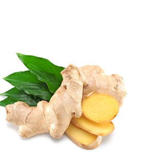 Les produits naturels se concentrent sur l'exportation de 1kg de gingembre et d'ail jeunes de haute qualité du Vietnam à des prix compétitifs de bonne qualité - Product Image 2