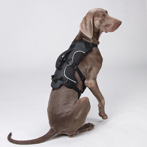 สายจูง<span class=keywords><strong>สุนัข</strong></span>แบบมีหูจับ สะท้อนแสงสำหรับใช้งานกลางแจ้ง <span class=keywords><strong>พ</strong></span>ร้อมช่องใส่ติดตั้งอุปกรณ์ระบุตำแหน่ง ไม่รั้ง ปรับได้ แบบเสื้อกั๊กยุทธวิธีสำหรับสัตว์เลี้ยง - Product Image 1