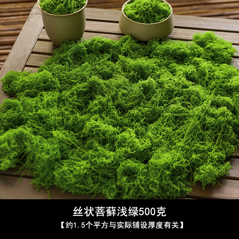 [Mejorado] Musgo filamentoso verde claro 500g